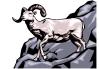 Le mouflon